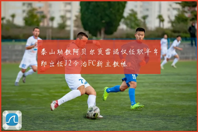 泰山助教阿贝尔莫雷诺仅任职半年即出任J2今治FC新主教练